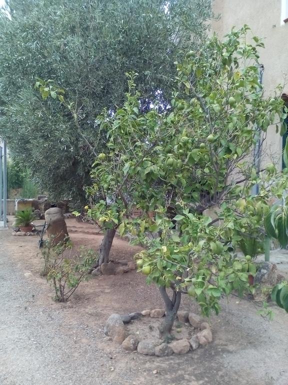 B&B Il Vigneto Capoterra Exterior foto