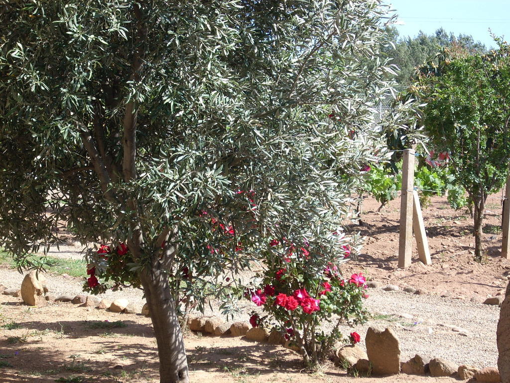B&B Il Vigneto Capoterra Exterior foto